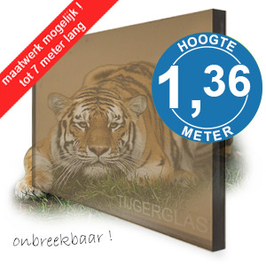 TIJGERGLAS / LEXAN BRONS 136,5cm