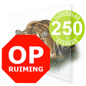 OPRUIMING TIJGERGLAS / LEXAN HELDER