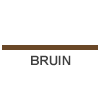 BRUIN